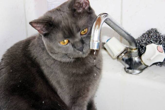 У Вінниці завтра тимчасово відключать воду: перелік адрес