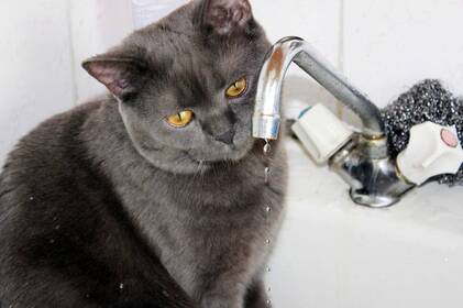 У Вінниці завтра тимчасово відключать воду: перелік адрес