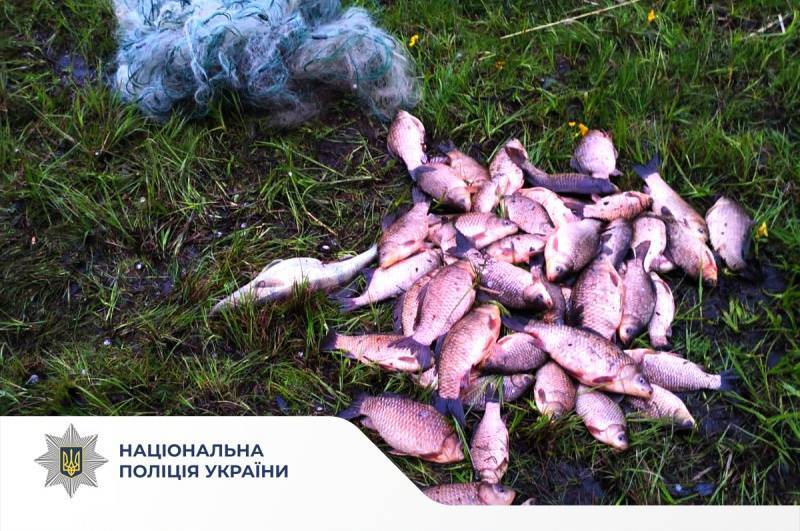 На Вінниччині викрили десятки фактів браконьєрства під час нересту
