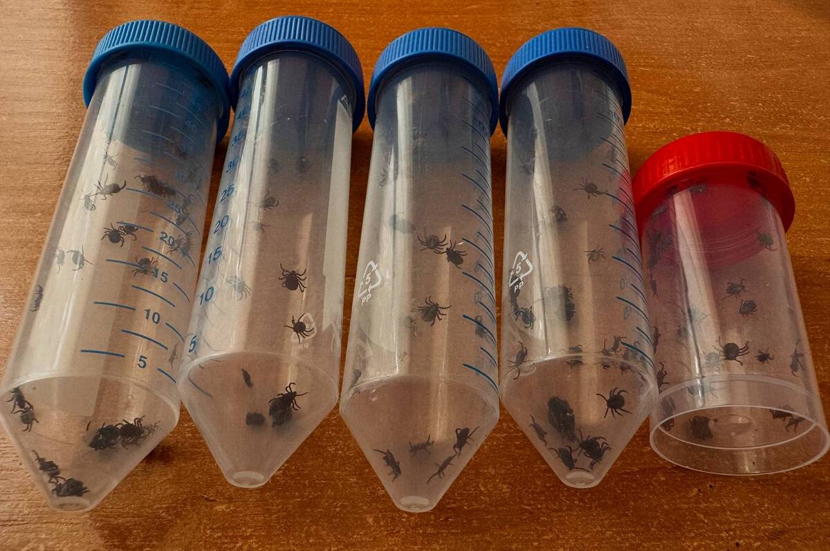 «Полювання» на кліщів у парках Вінниці підтвердило початок піку їхньої активності