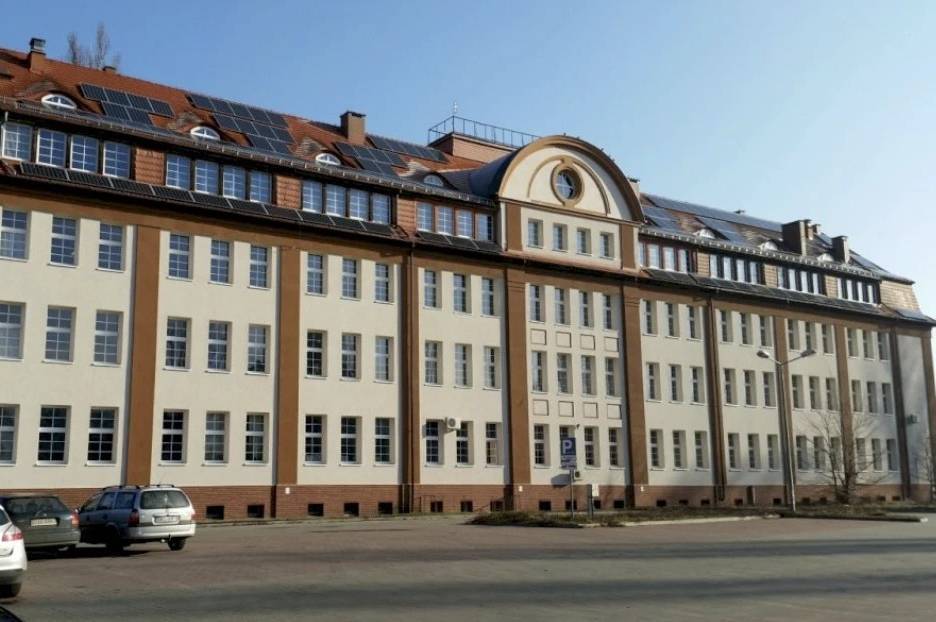 Міжнародний Університет Логістики та Транспорту: як побудувати кар’єру в одній з найперспективніших сфер