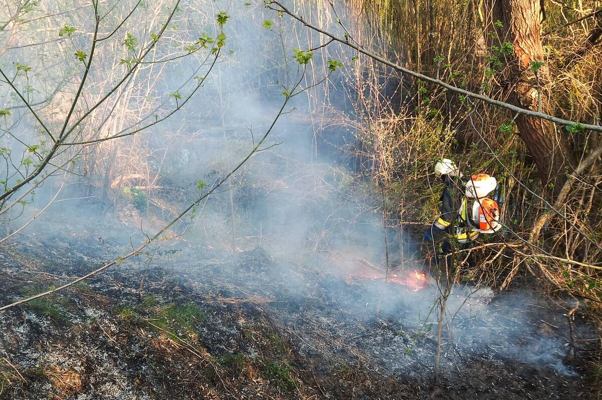 Вогонь не вщухає: за добу на Вінниччині сталося 18 пожеж