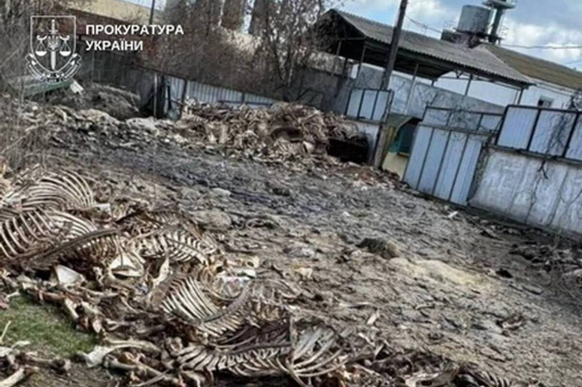 Бізнесмен з Літина заплатить штраф за нелегальне звалище тваринних рештків на комунальній землі