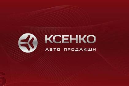 Не просто авто з ношами: як медзакладам правильно обирати “швидку”