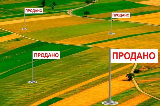 Земля стрімко дорожчає, а на Вінниччині найактивніше купують гектари