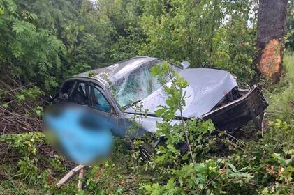 Через п'яного водія Audi в аварії біля Сокиринців загинула 24-річна вінничанка