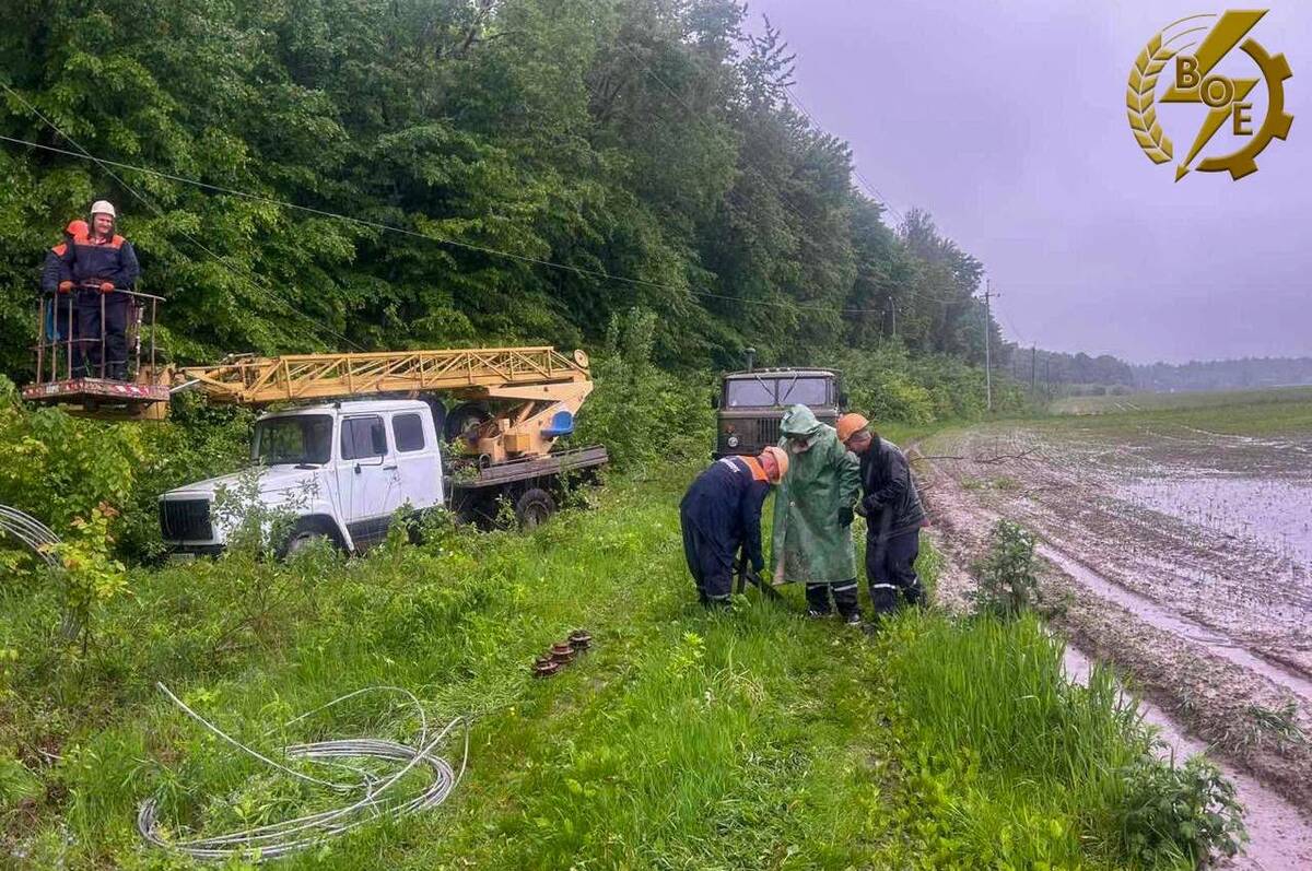Потужна негода знеструмила десятки сіл на Вінниччині (фото)
