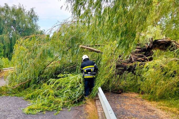 Негода на Вінниччині: вітер повалив дерева та зірвав дах будинку