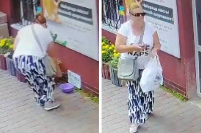 У Жмеринці жінка забрала ємність із водою, залишену для безпритульних тварин