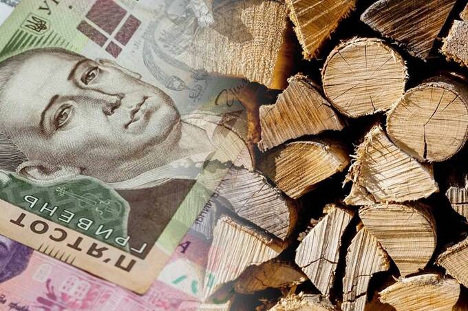 Субсидія на дрова та газ: кому дадуть майже 20 тисяч гривень і як оформити