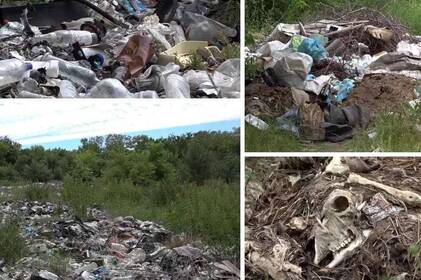 На Жмеринщині п’ятигектарне стихійне сміттєзвалище отруює довкілля та ліси