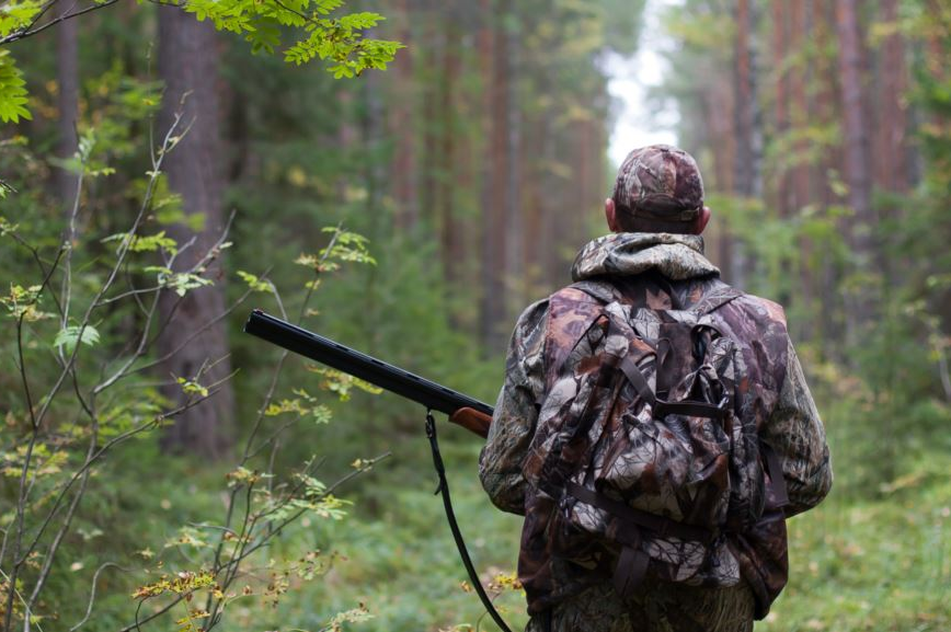 4 серпня на Вінниччині відкривається сезон полювання на пернату дичину