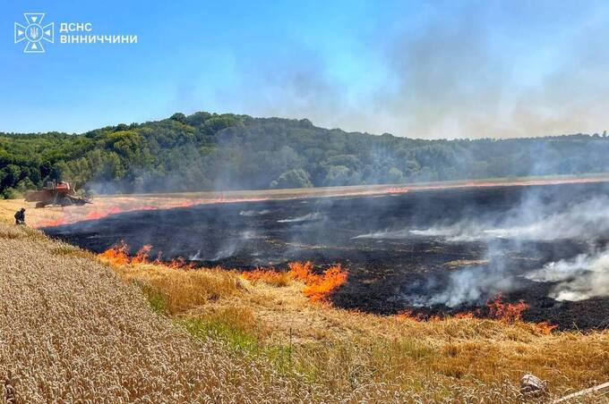 На Вінниччині через людську недбалість згоріло поле пшениці (фото)
