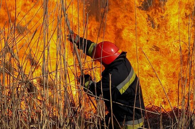 Рятувальники б'ють на сполох: Вінниччина перебуватиме у зоні надзвичайної пожежної небезпеки