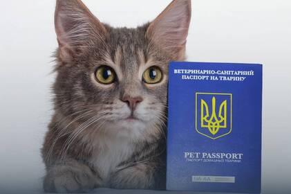 Власникам домашніх тварин нагадали про оновлені паспорти: що треба врахувати