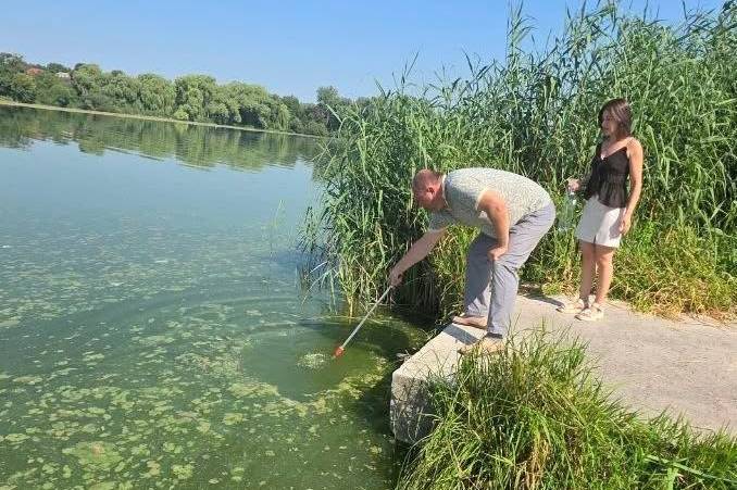 У Вінниці перевіряють стан позеленілої води у Південному Бузі