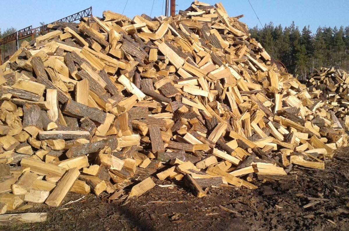 На Вінниччині аферисти дурять покупців дров під виглядом лісівників