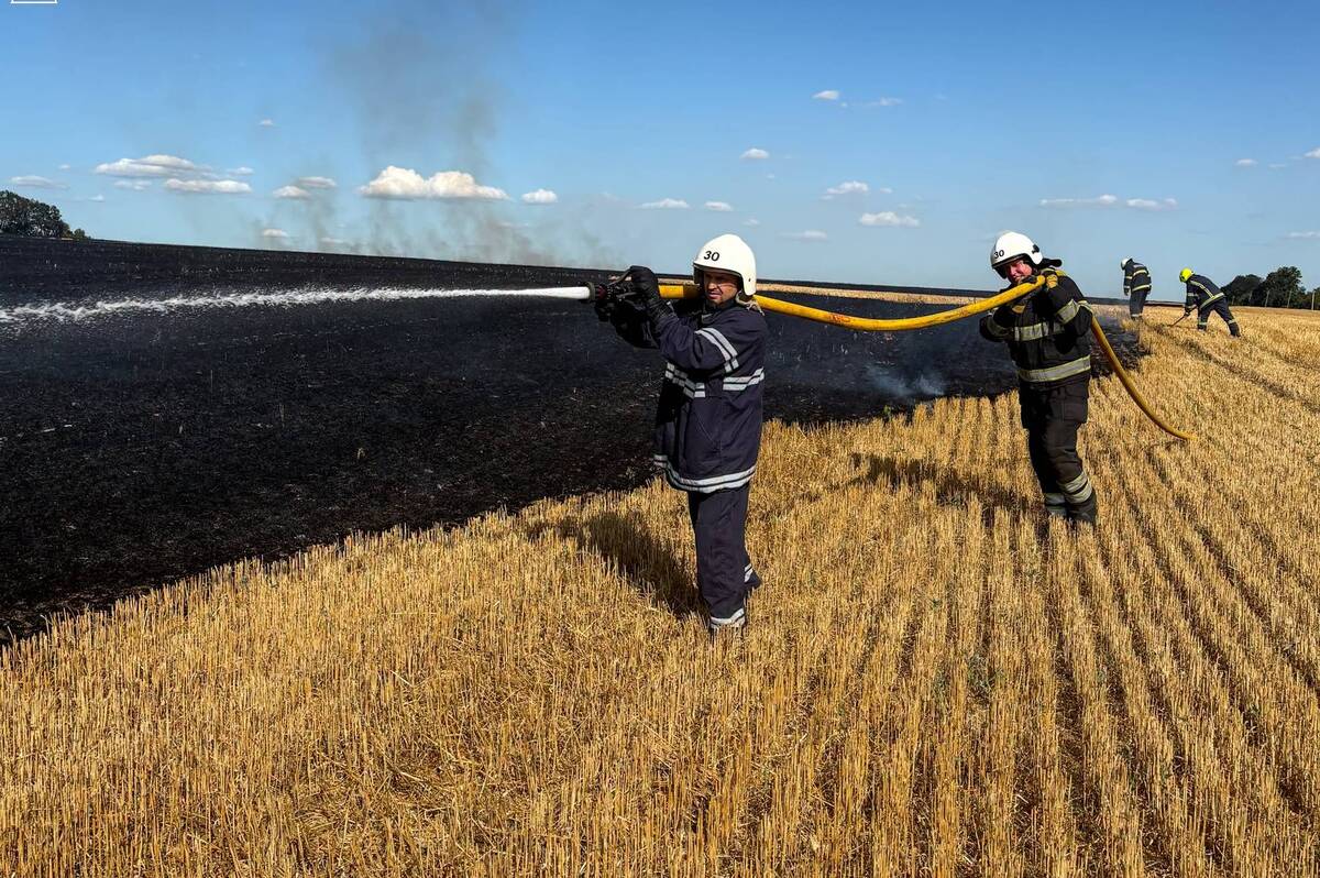 На Вінниччині за добу вогонь охопив понад 4 гектари сухостою