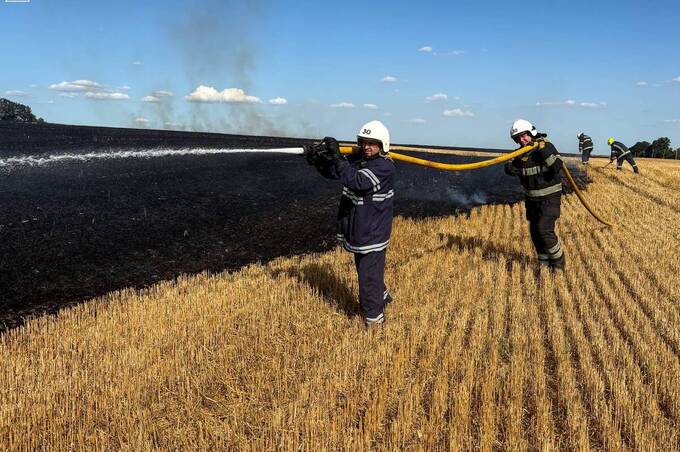 На Вінниччині за добу вогонь охопив понад 4 гектари сухостою