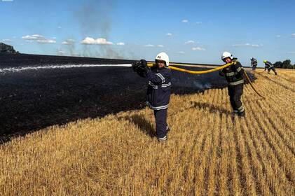 На Вінниччині за добу вогонь охопив понад 4 гектари сухостою