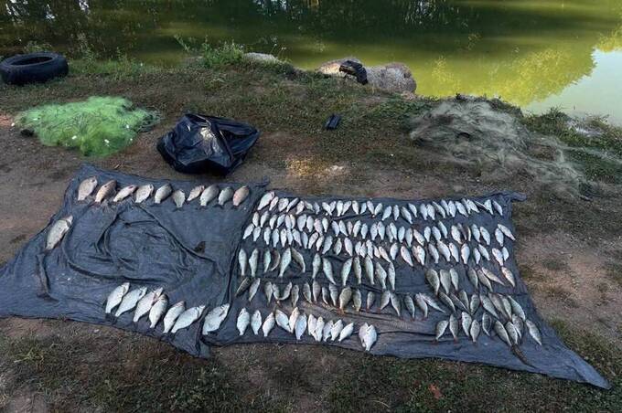 181 риба та рак у сітках: на Вінниччині рибалка завдав збитків на 382 тисячі