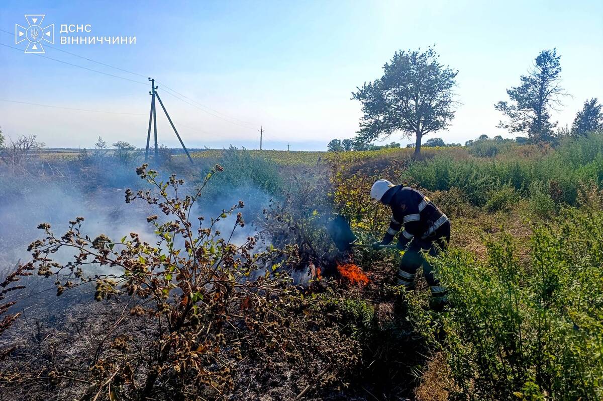 На Вінниччині за добу вигоріло майже 8 гектарів сухої рослинності