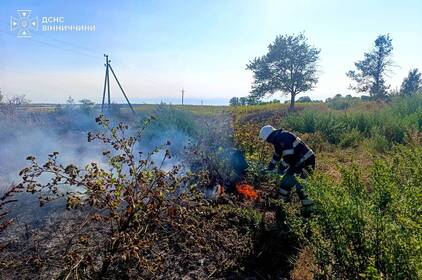 На Вінниччині за добу вигоріло майже 8 гектарів сухої рослинності