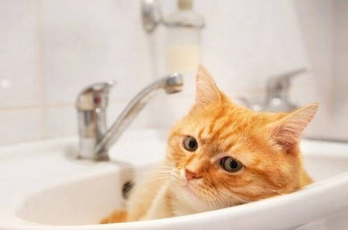 Вода, світло та гаряча вода: де у Вінниці 25 серпня будуть відключення