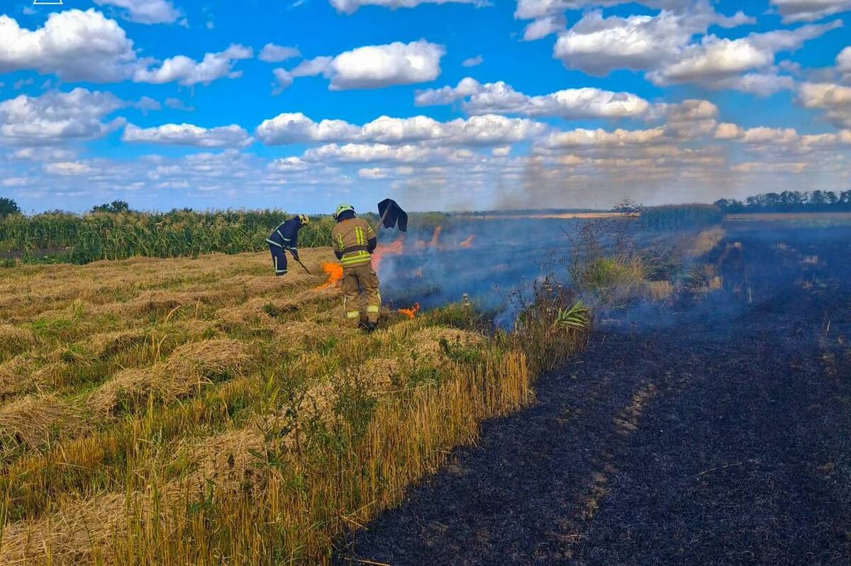 Минулої доби вогнеборці ліквідували 15 пожеж в екосистемах