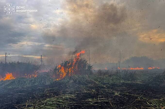 Вогонь перекинувся на господарську споруду: на Вінниччині рятувальники гасили сім пожеж  
