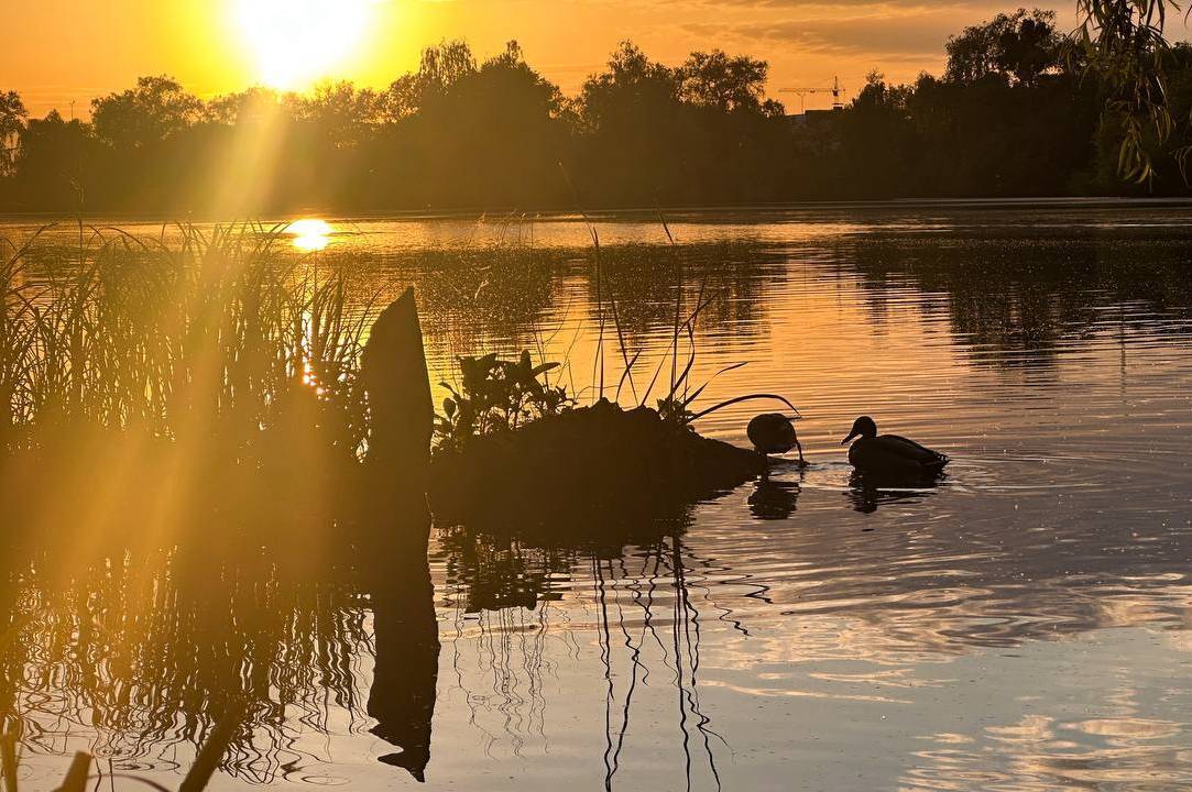 Сухо та майже по-літньому тепло: прогноз погоди для Вінниці та області на 29 серпня