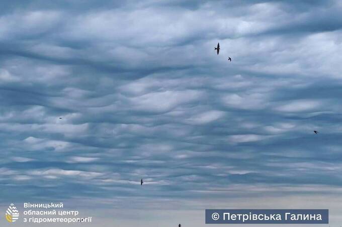 У небі над Вінницею 1 вересня помітили рідкісні хмари Asperitas (фото)