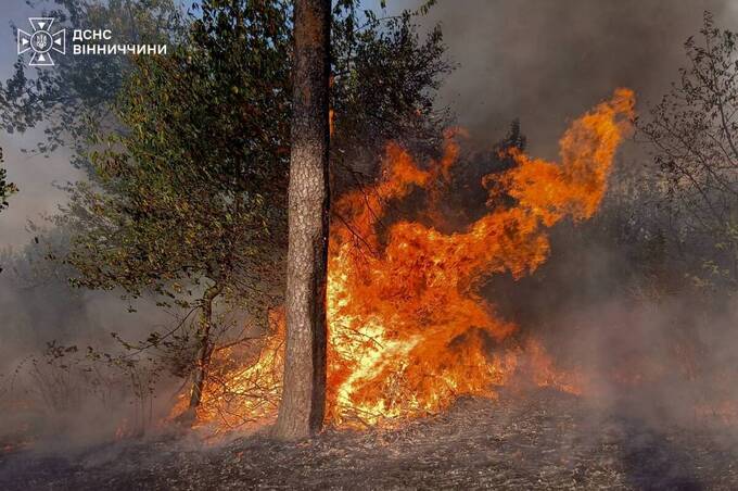 Минулої доби на Вінниччині спалахнули 6 пожеж через людську недбалість