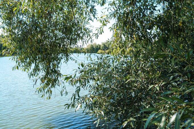 У Вінниці закупорили три підводні водостоки, якими зливали нечистоти до Вишенського озера
