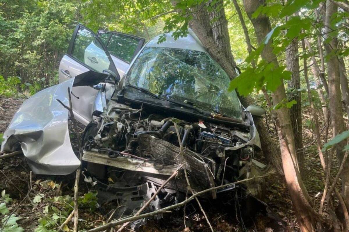 ДТП на Вінниччині: Renault врізався в дерево, травмувалися двоє людей