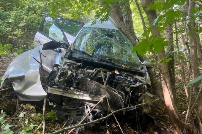 ДТП на Вінниччині: Renault врізався в дерево, травмувалися двоє людей
