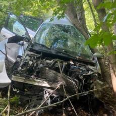 ДТП на Вінниччині: Renault врізався в дерево, травмувалися двоє людей