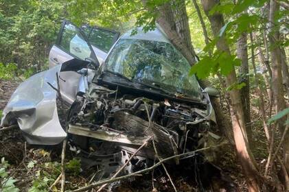 ДТП на Вінниччині: Renault врізався в дерево, травмувалися двоє людей