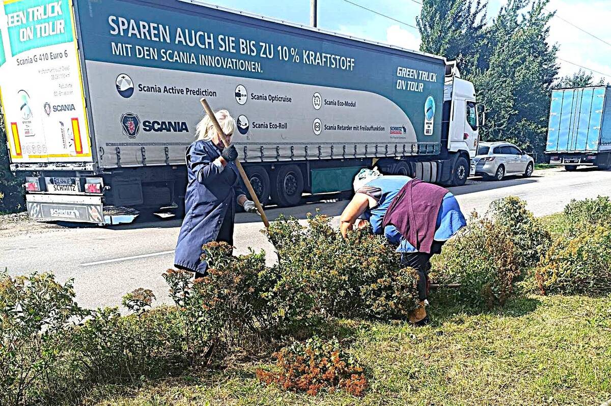 У селищі Десна висадили нові декоративні рослини