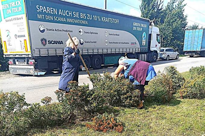 У селищі Десна висадили нові декоративні рослини