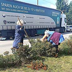 У селищі Десна висадили нові декоративні рослини