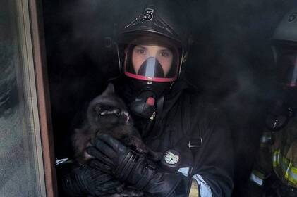 Вилізло на підвіконня: у Вінниці рятувальники врятували кошеня з пожежі