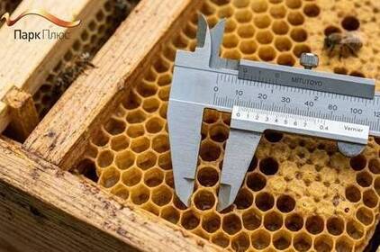 Геометрія осередку 5,4 мм проти витягнутих шестикутників: як мікрокалібрування вальців запобігає масовому будівництву трутневих комірок