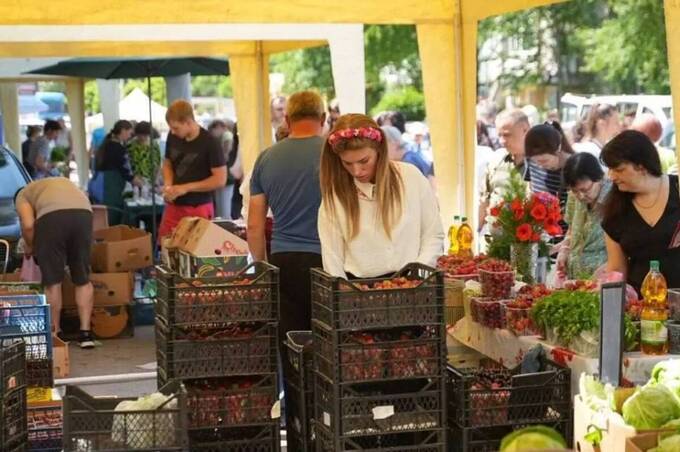 У Вінниці відбудеться ярмарок фермерської та крафтової продукції
