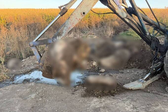 На Вінниччині фермерське господарство підозрюють у захороненні мертвих тварин на полях