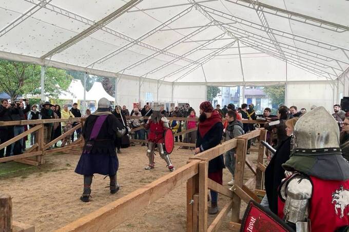 У Вінниці зібралися лицарі з різних міст України: як минув турнір пам’яті Максима Шимка