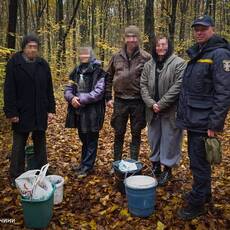 Четверо грибників заблукали в лісі на Вінниччині: що відомо про пошуки