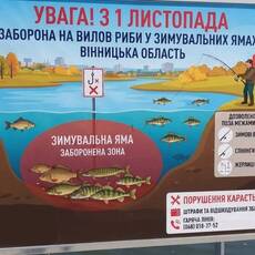 На Вінниччині запроваджують заборону на вилов риби: які водойми під обмеженням