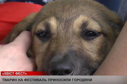 У Вінниці відбувся "Хвіст-фест" У Вінниці відбувся "Хвіст-фест"