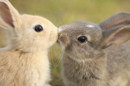 I wanna be kissed by you… Вінничани, з днем поцілунку!